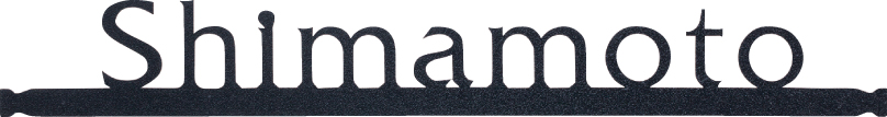 NVS-B-